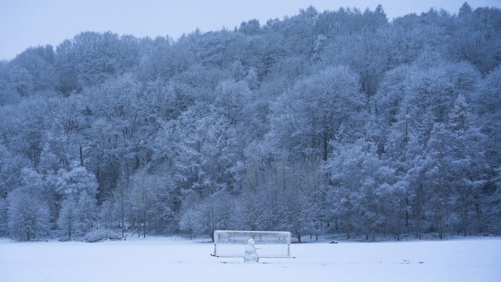 a soccer field covered in snow next to a forest
