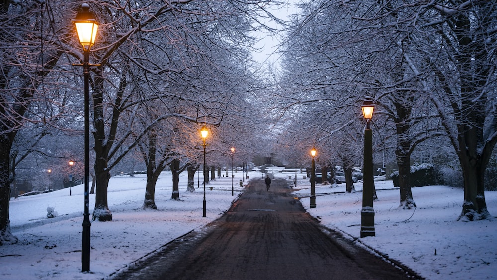 a snow covered park with street lamps and trees