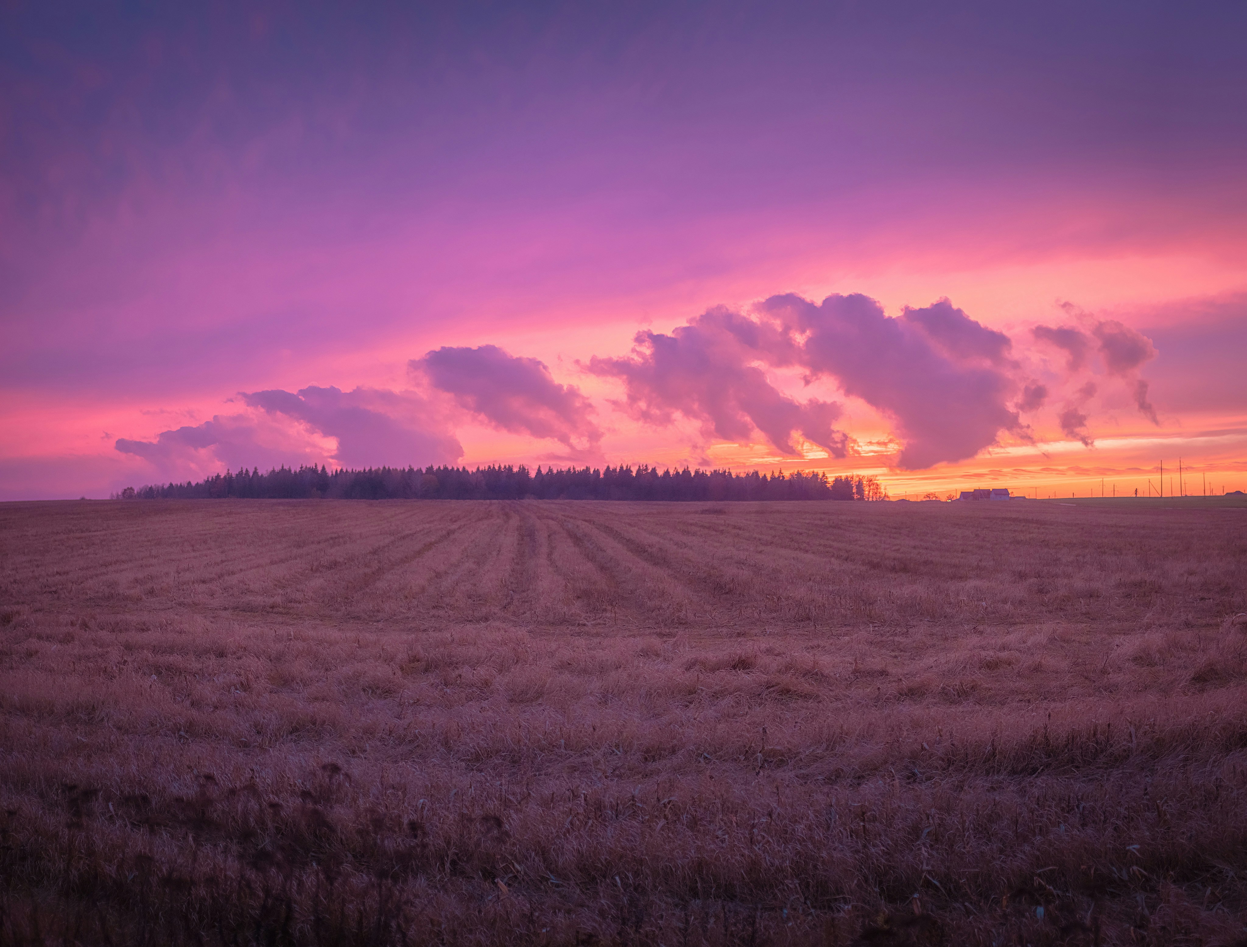 Photo by belkaniaboris