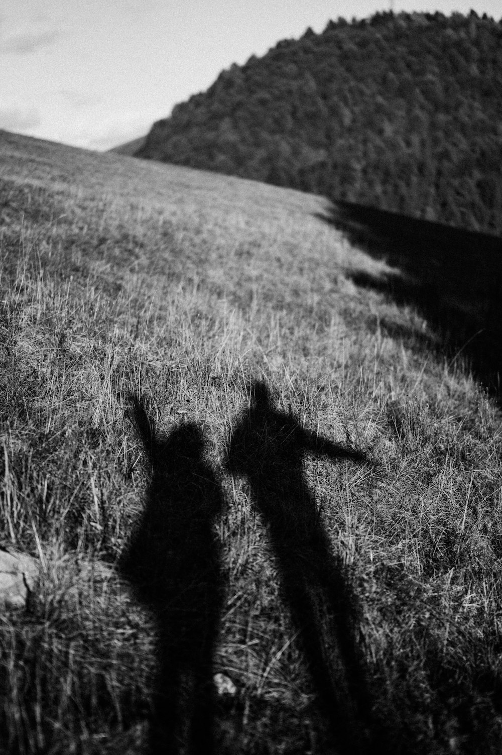 a shadow of a person standing in a field