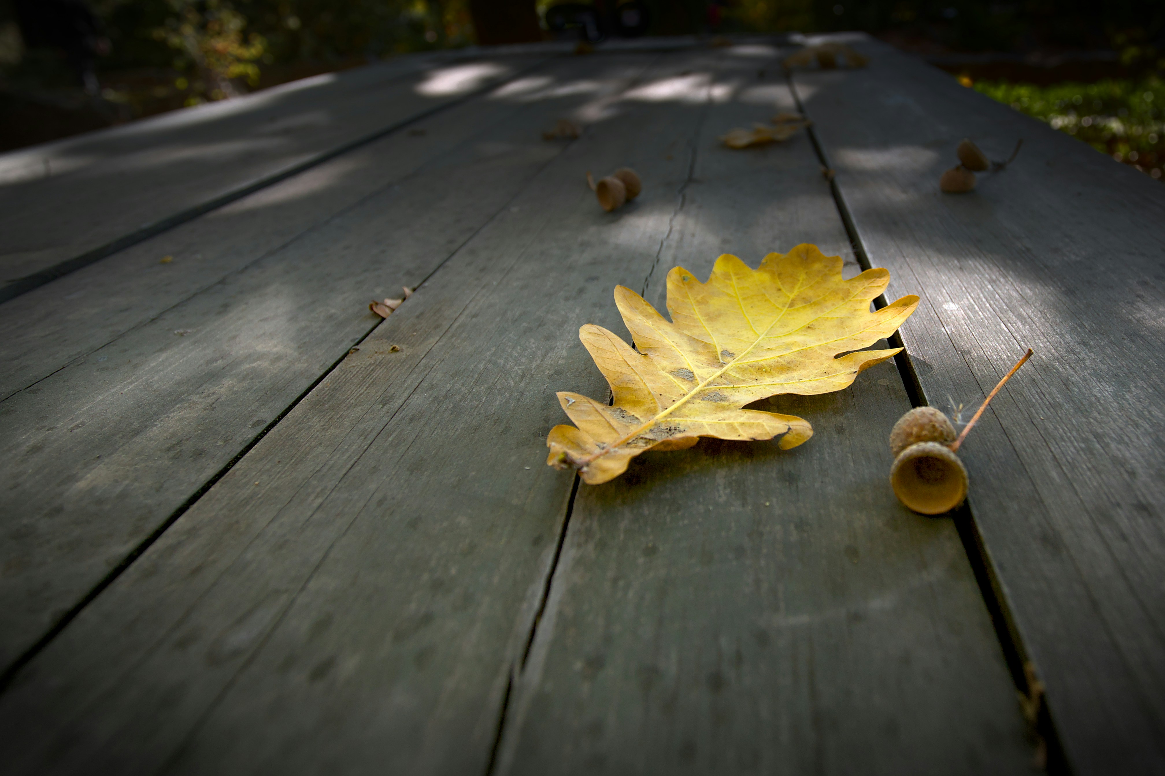 Elegant Oak Dining Table