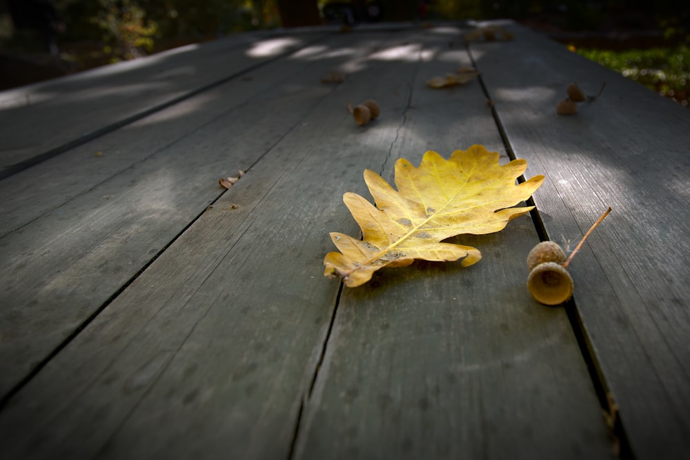 a leaf and acorn on a wooden table