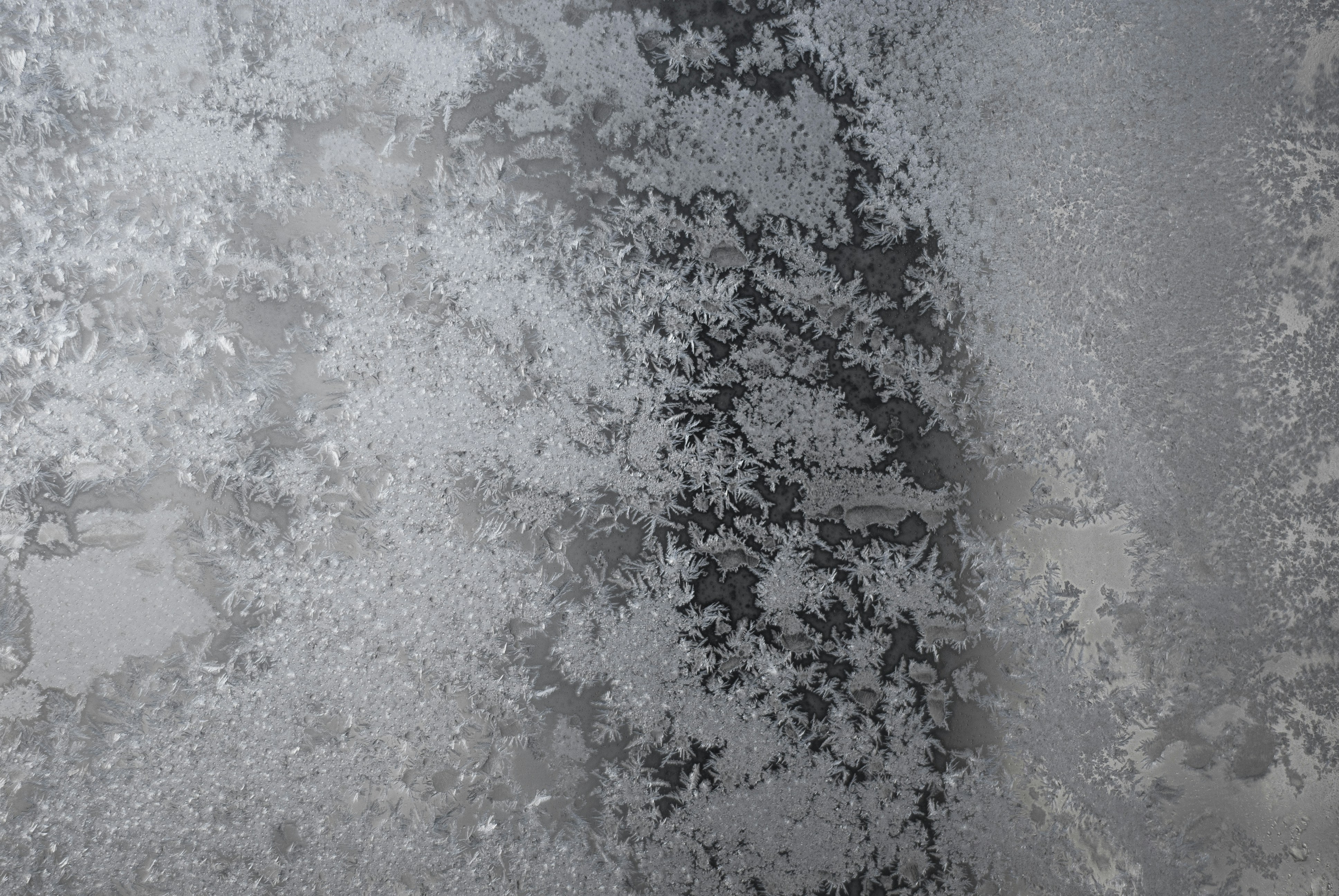 Photo by kovalskihelga