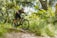 A cyclist riding a mountain bike on a scenic trail surrounded by trees.