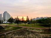 A peaceful sunset over an Atlanta park symbolizing hope and dignity.