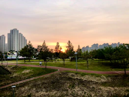 A peaceful sunset over an Atlanta park symbolizing hope and dignity.