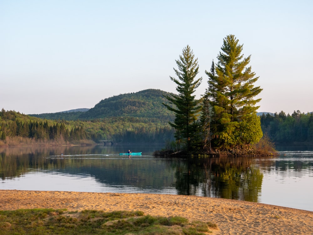 un petit bateau sur un lac entouré d’arbres