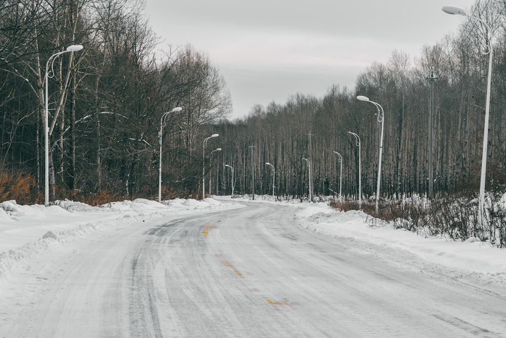 a snow covered road surrounded by trees and street lights