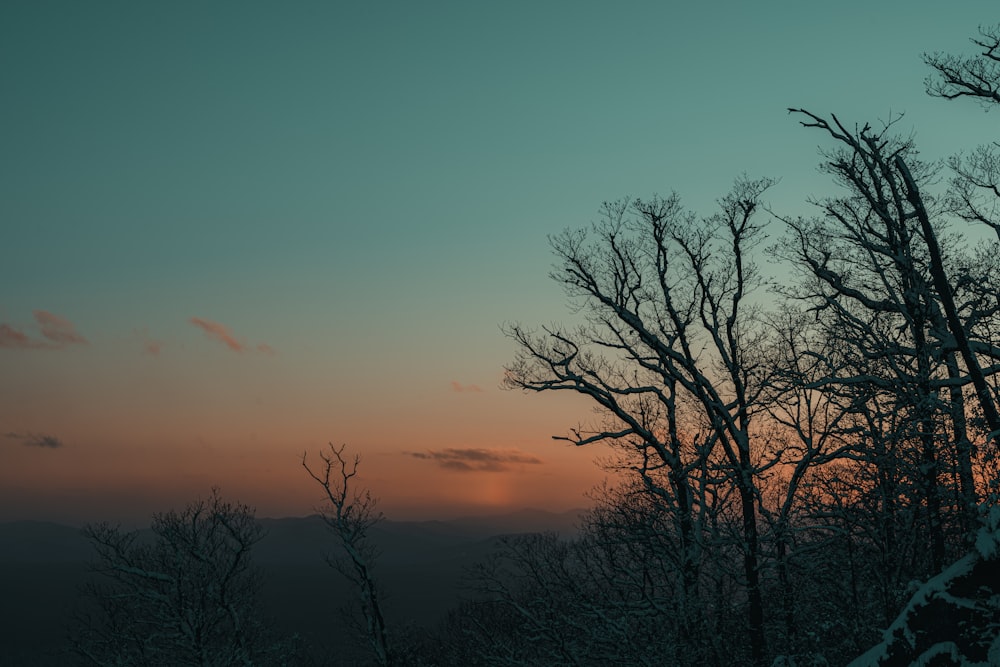 the sun is setting in the distance behind the trees