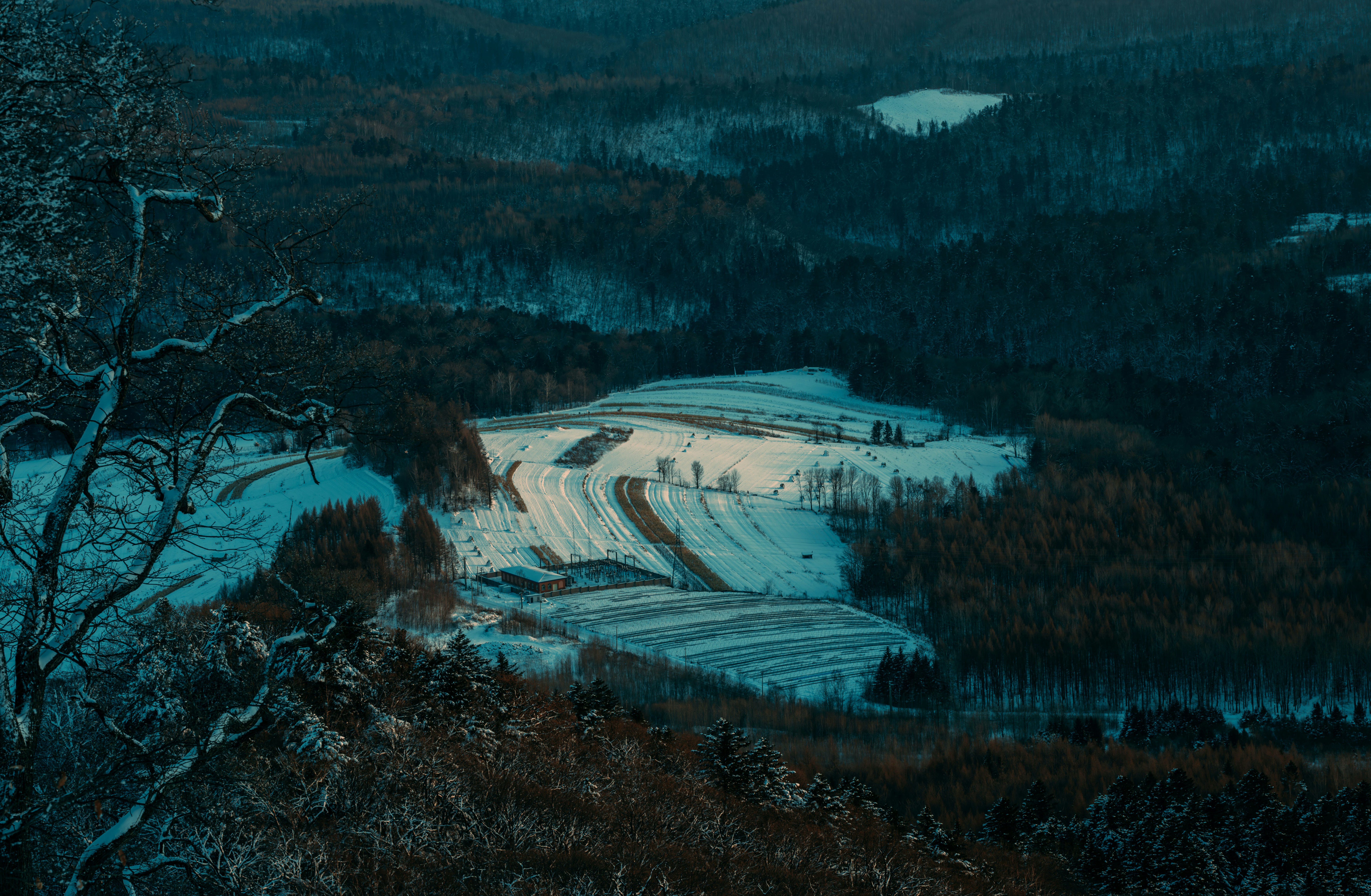 겨울왕국 3 & 4는 1억 8천만 달러 규모의 영화 하나로 10억 달러 이상의 성공을 거두었습니다
