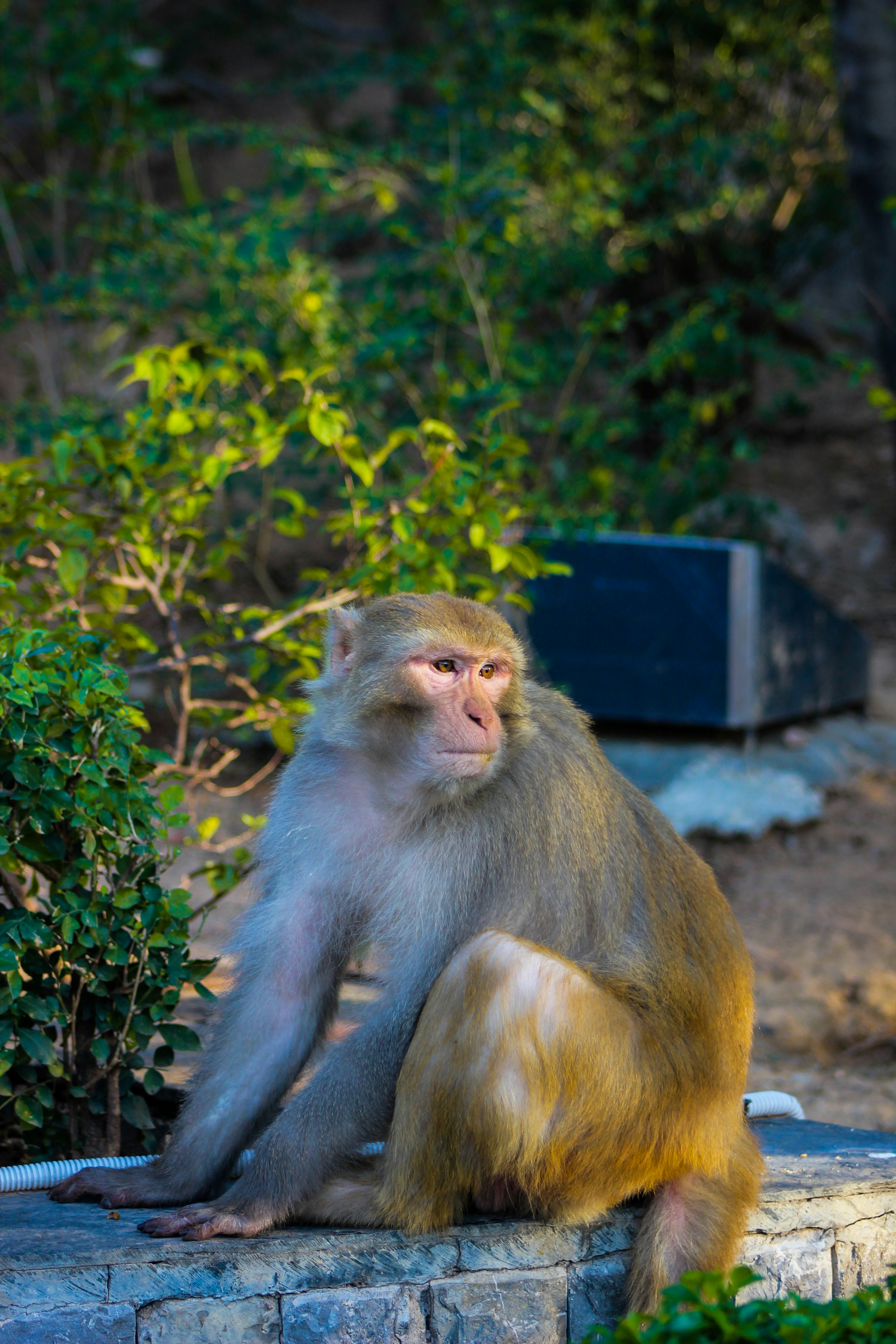 Photo by danishrasool525