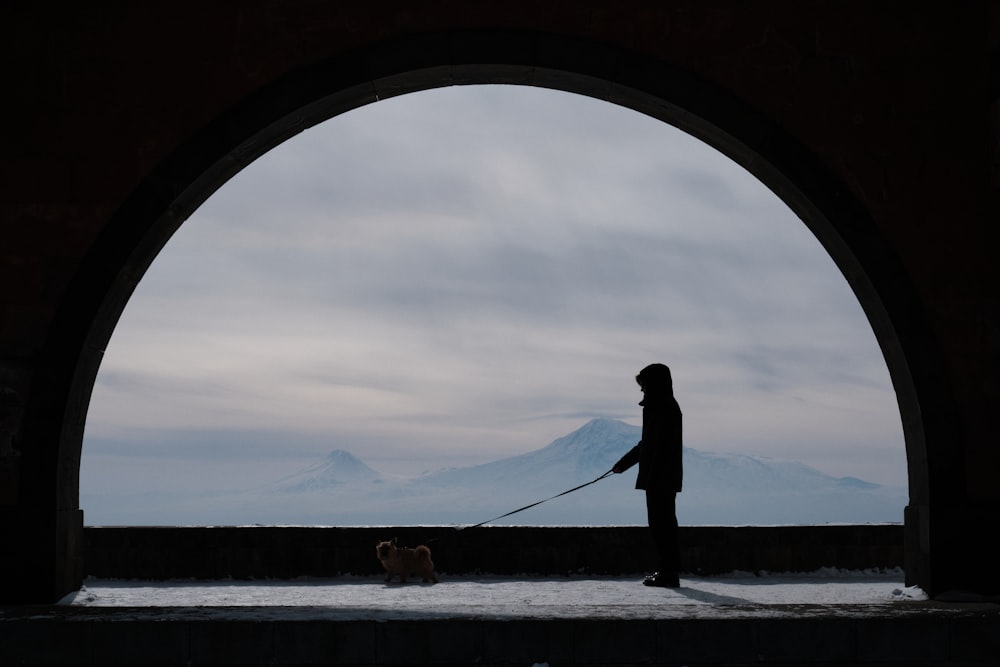 a person walking a dog on a leash