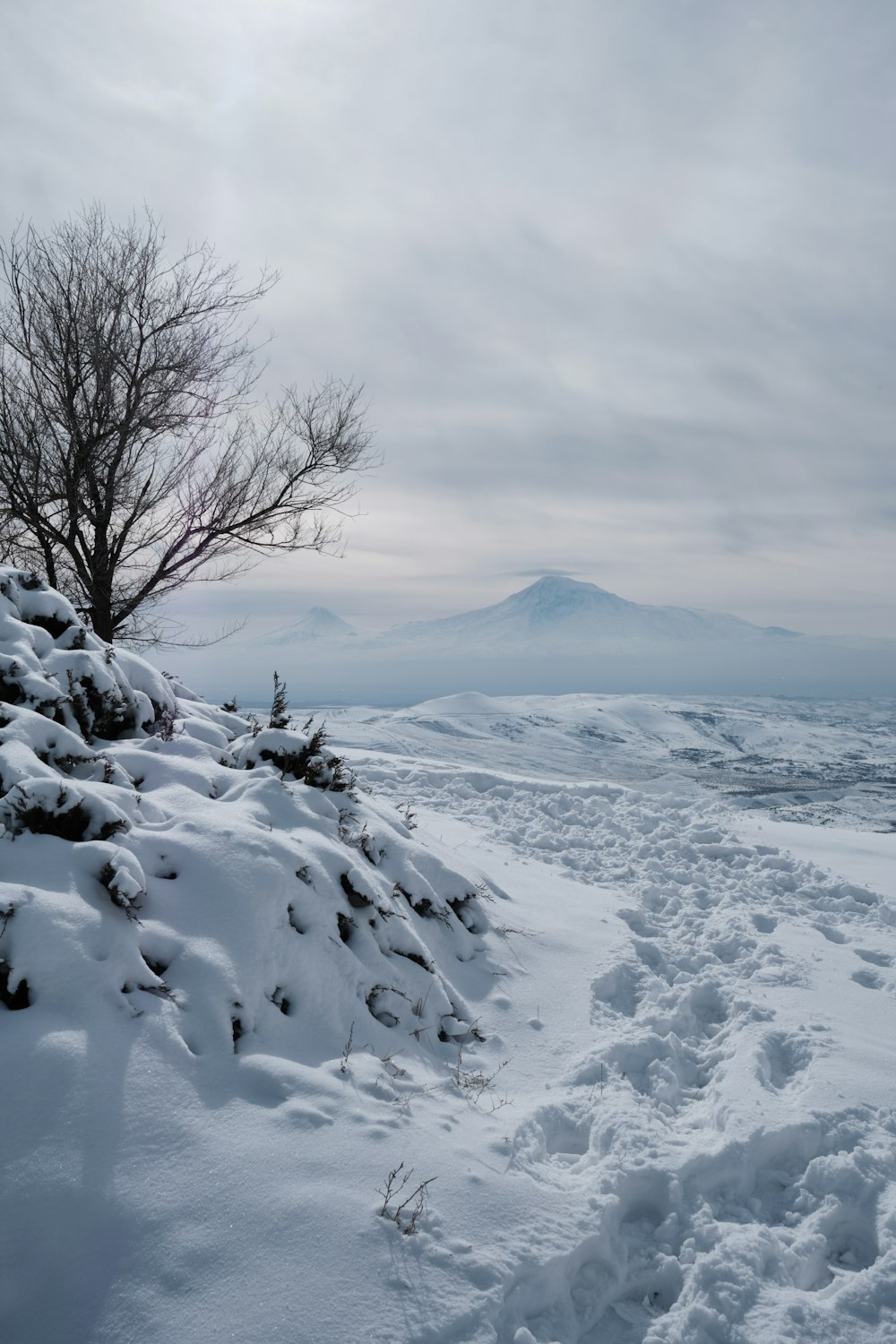 a snow covered hill with a tree on top of it