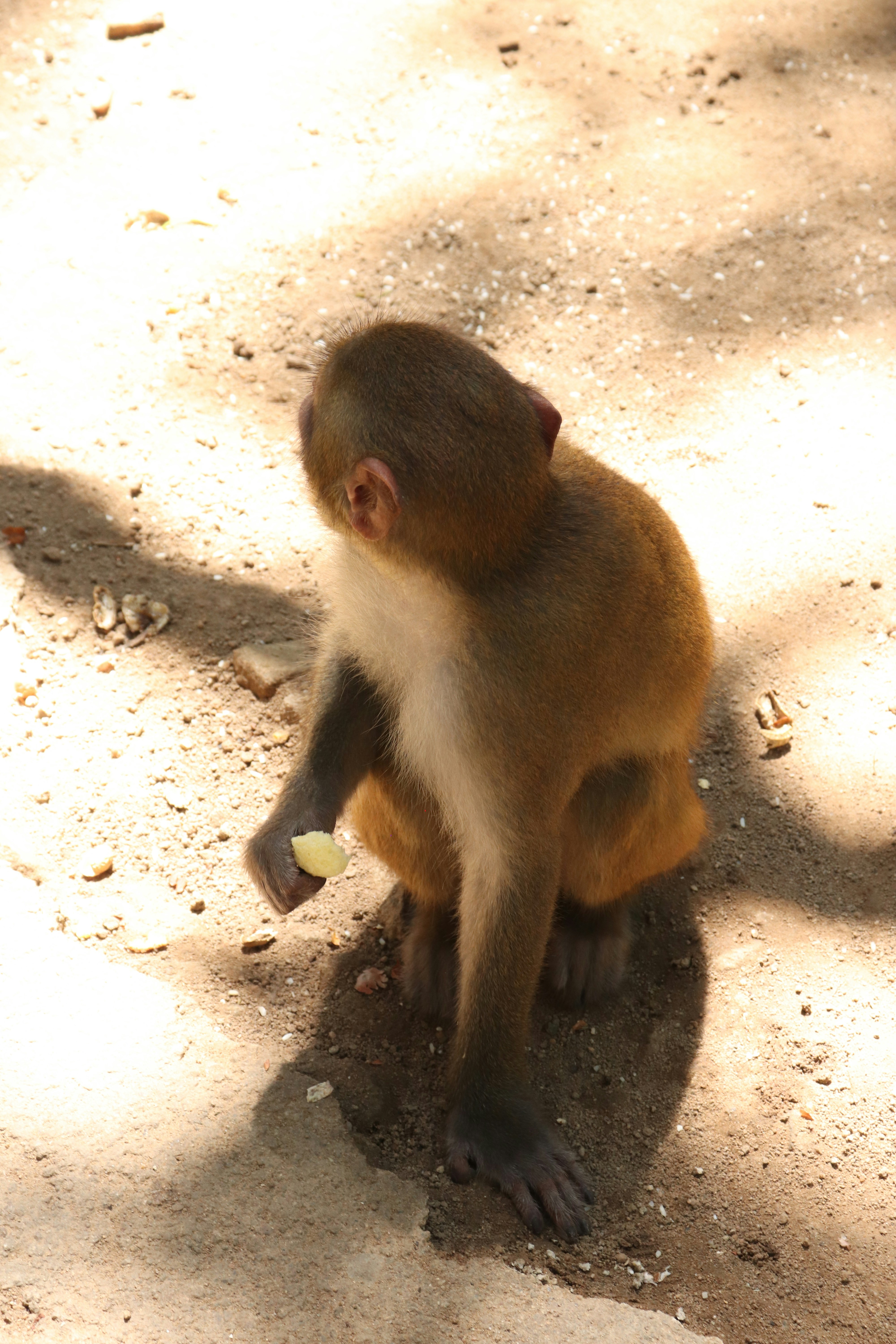 Photo by elee_334105