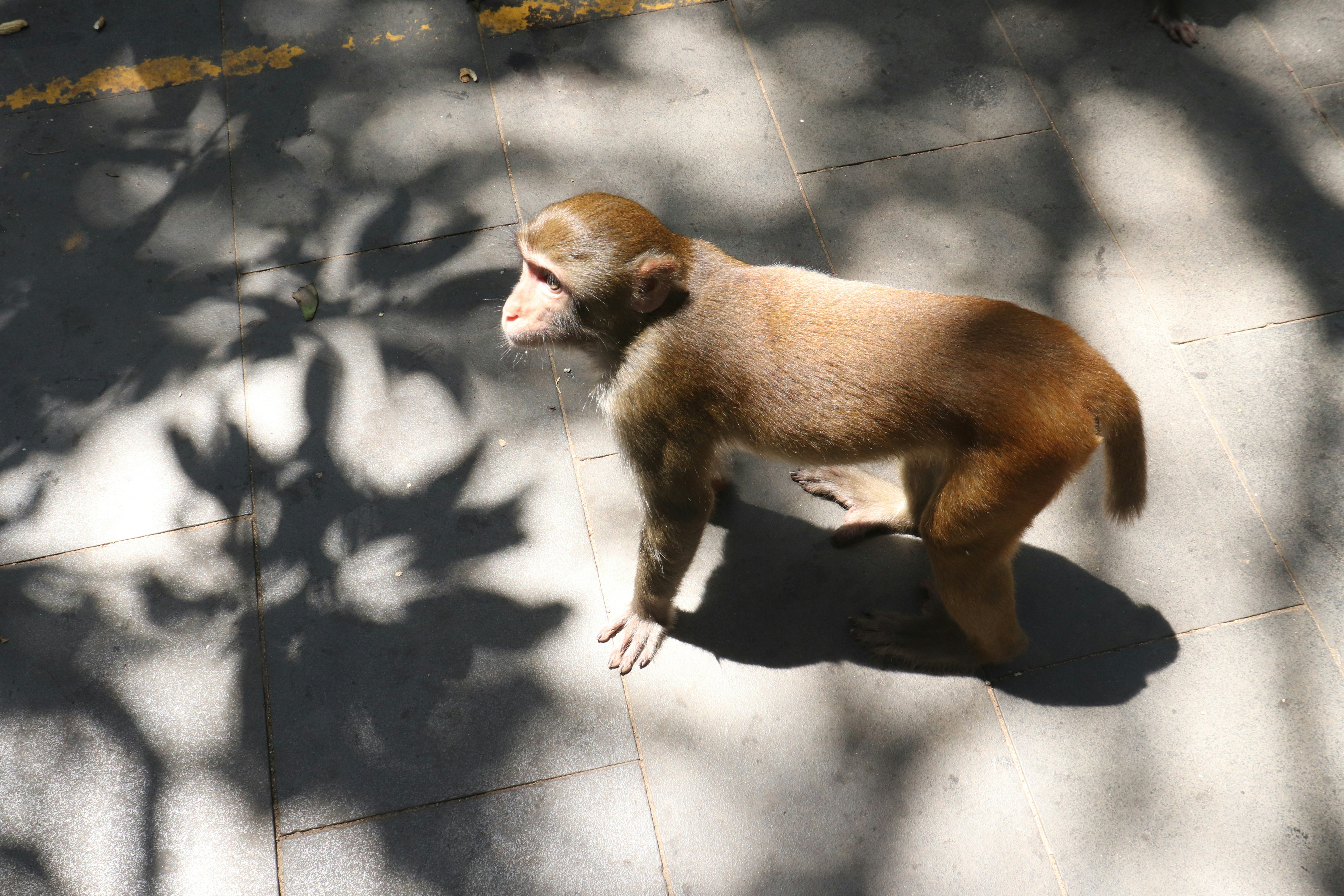 What You Can Do to Help