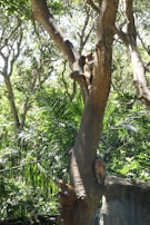 A playful group of animated friends from Rise the Movie exploring a lush forest.