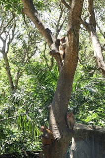 A playful group of animated friends from Rise the Movie exploring a lush forest.