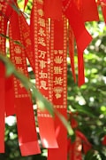 Red ribbons with golden Chinese characters are hanging amidst green foliage. The text on the ribbons seems to convey traditional Chinese blessings or wishes. The background contains vibrant greenery, adding a natural contrast to the bright red ribbons.