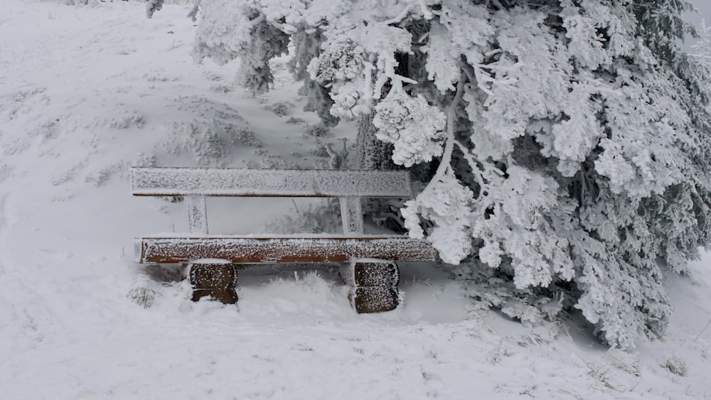 a bench covered in snow next to a tree