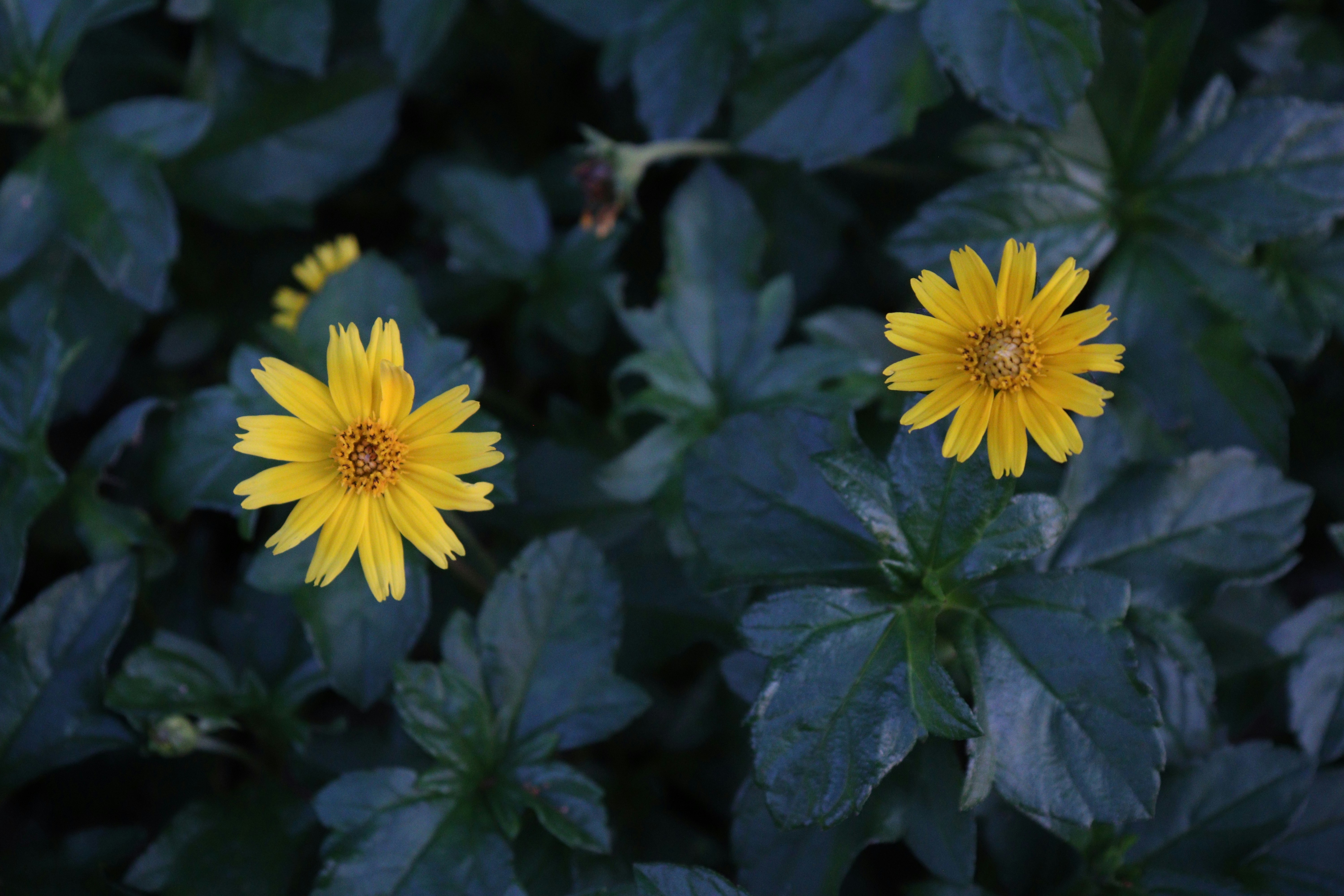 Photo by elee_334105