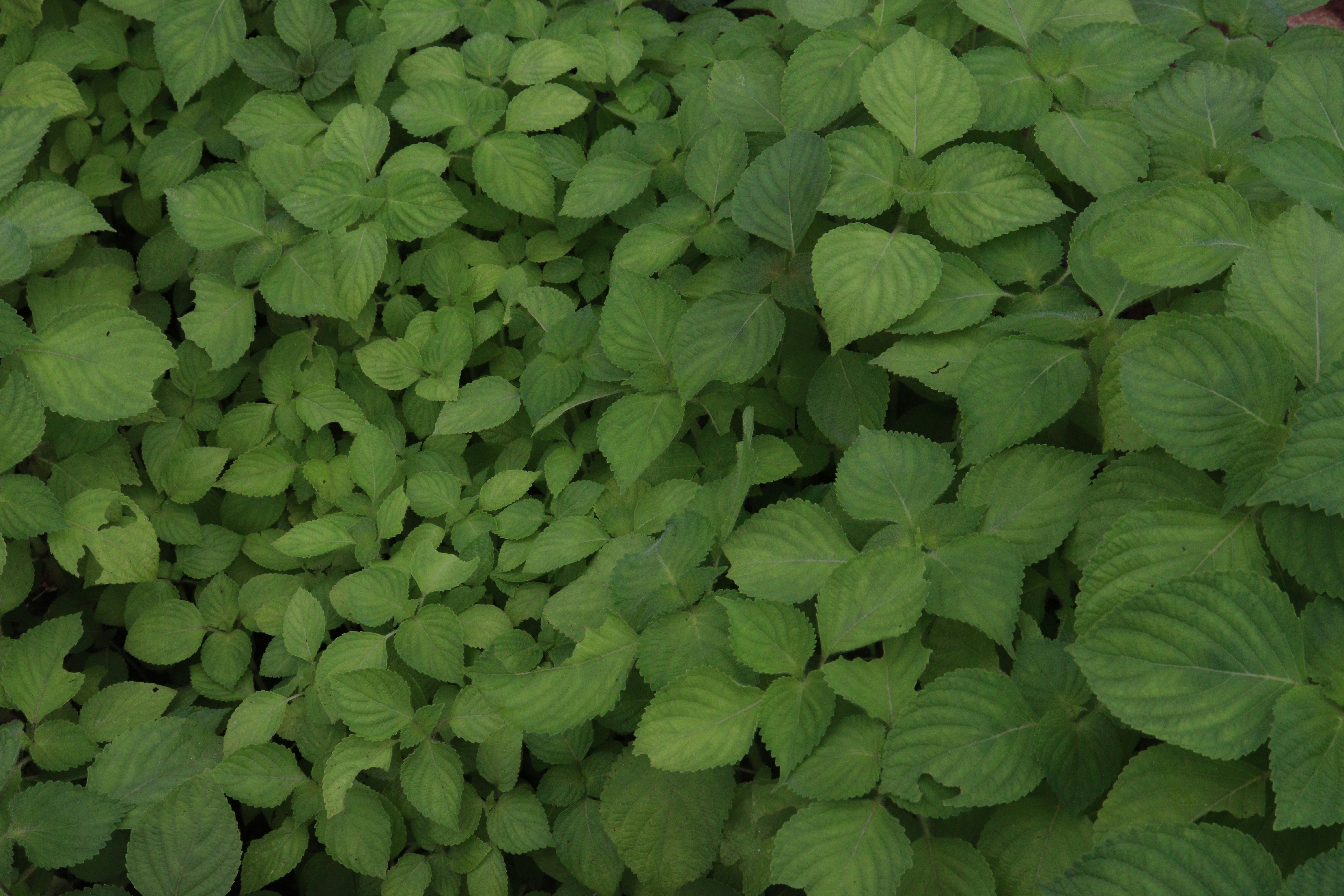 Photo by elee_334105