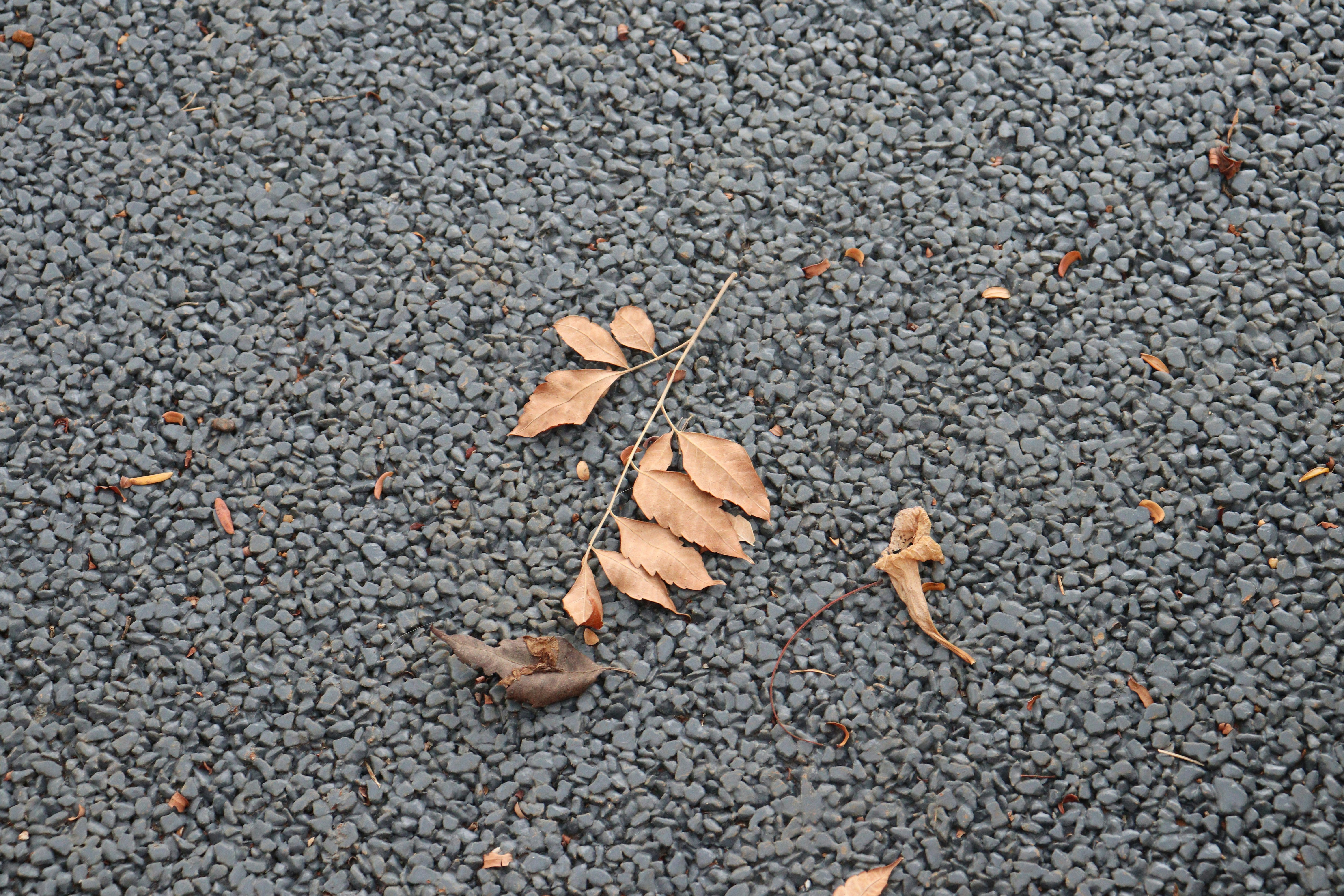 Photo by elee_334105