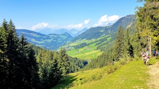 A scenic view of scouts hiking up a hill with backpacks and nature around.