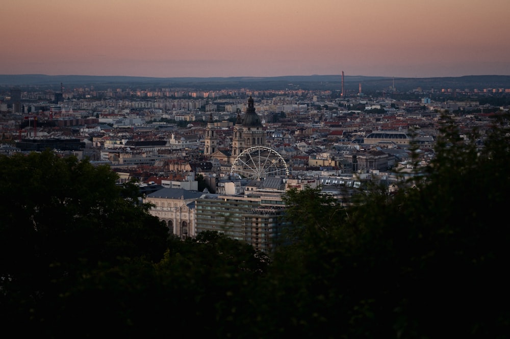 a view of a city with a ferris wheel in the distance