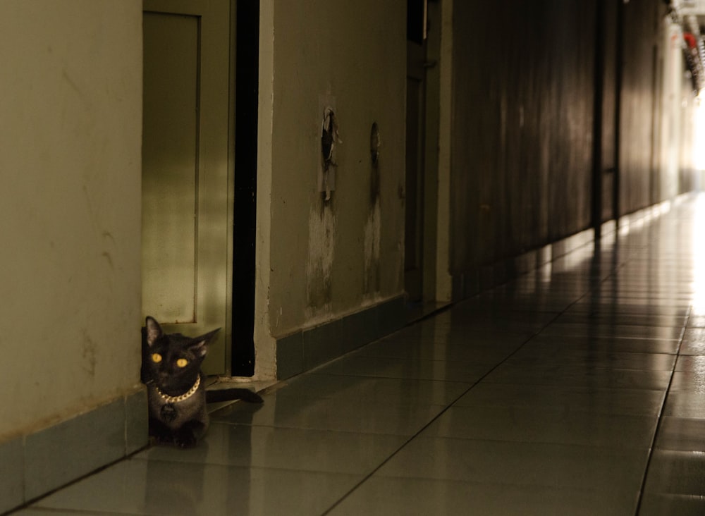 Un gatto nero che si nasconde dietro una porta in un corridoio