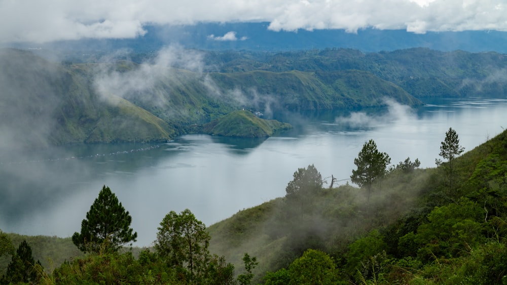 a view of a body of water surrounded by trees