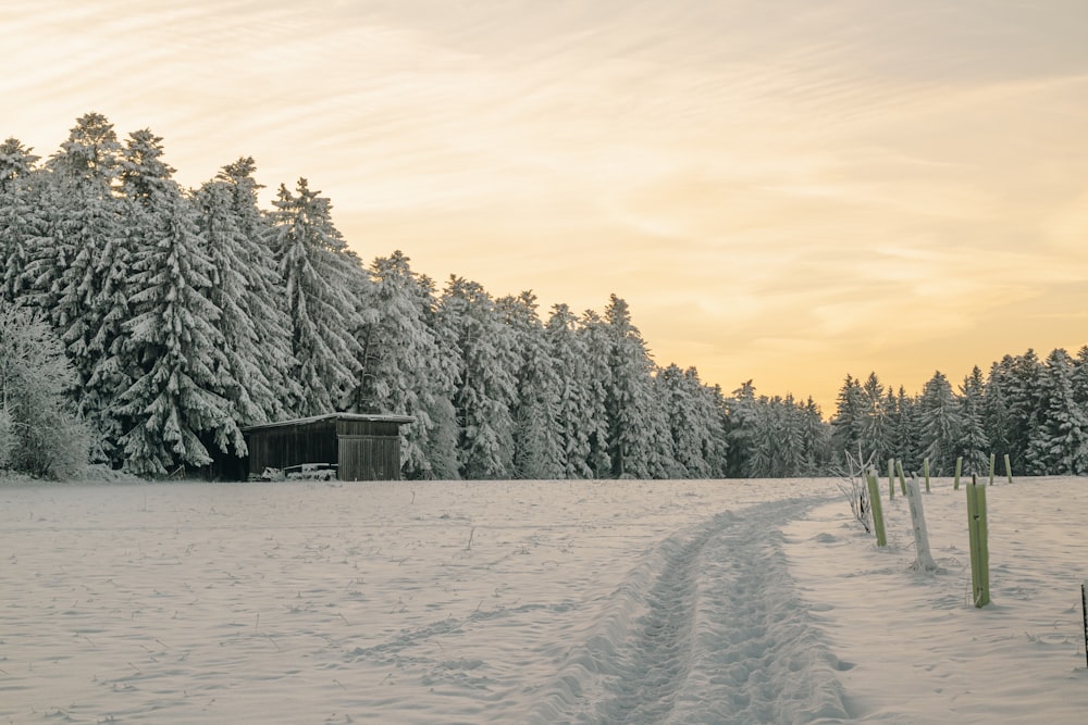 a snow covered field with trees in the background