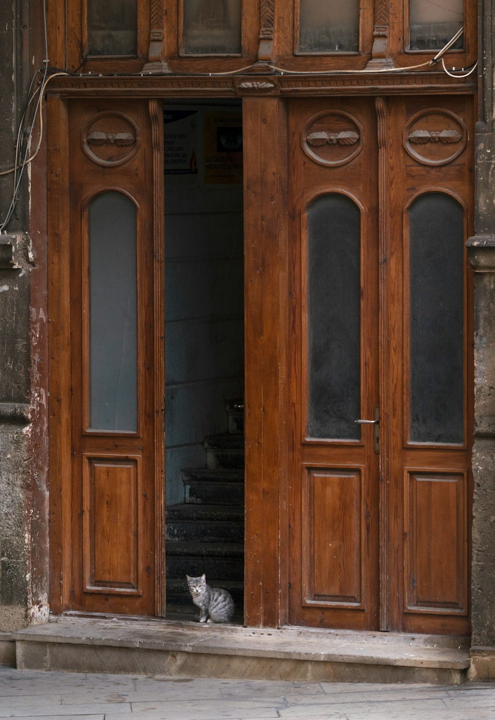 a cat sitting in the doorway of a building