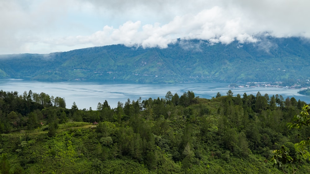 a scenic view of a lake surrounded by trees