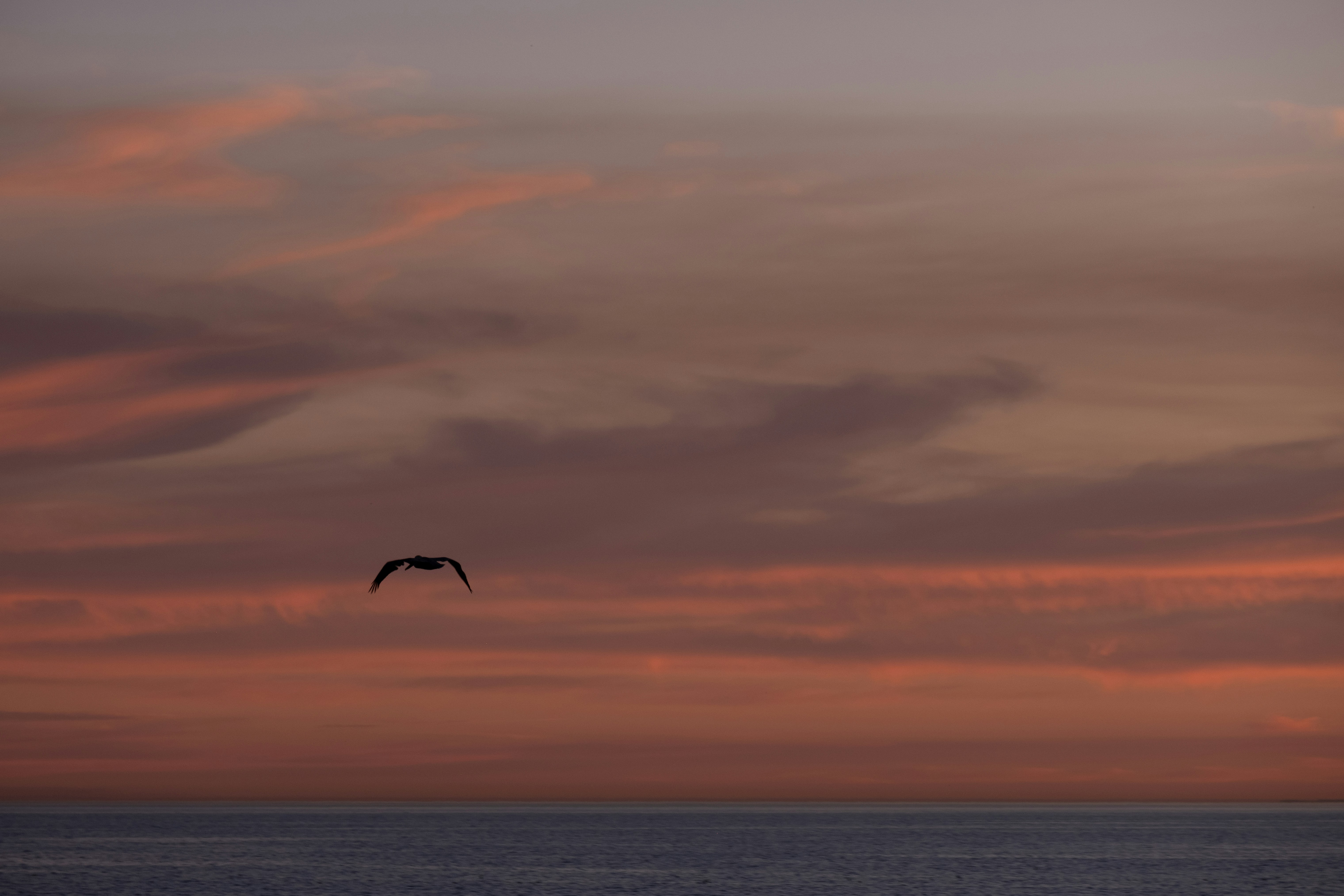 Photo by cestmoisheedy