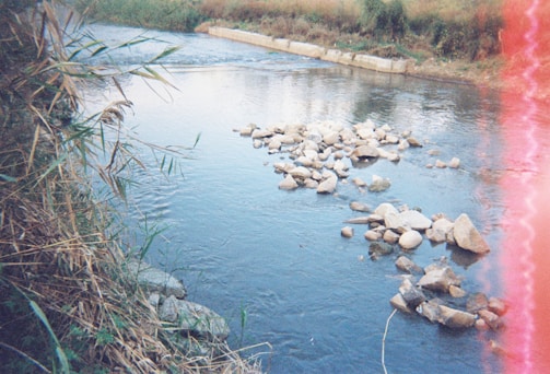 A serene river flows through an area with rocky formations scattered across its surface. Grasses and tall plants line the riverbank, creating a natural frame. A man-made concrete barrier is visible in the background across the river.