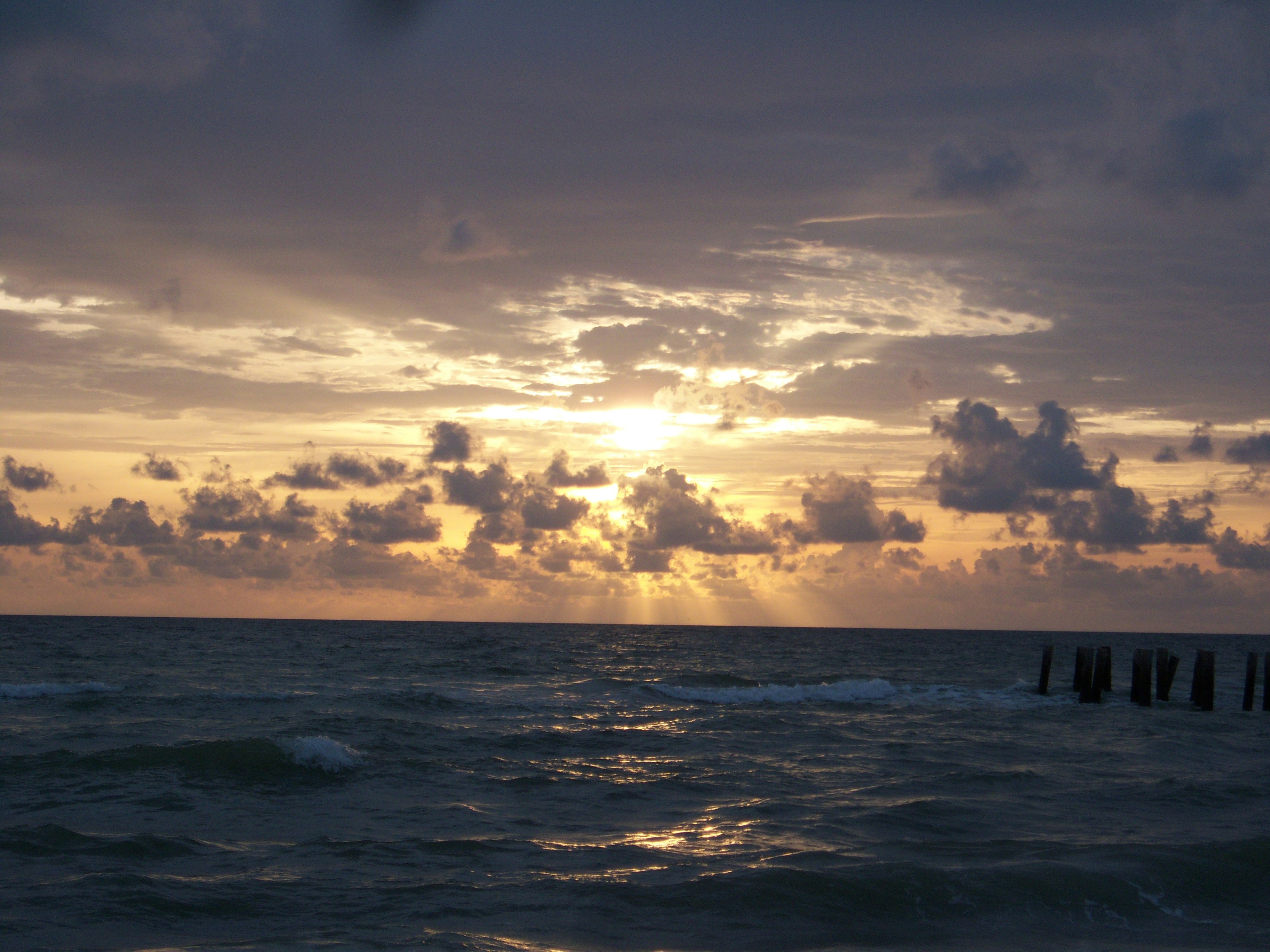 Photo by rochellegorts