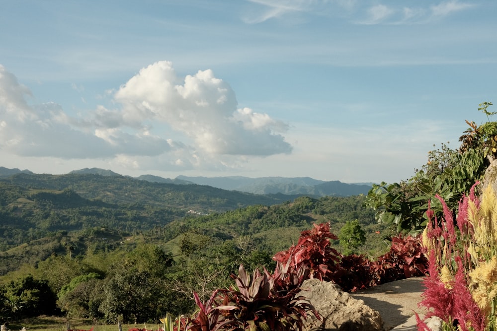 a view of a mountain range from a hill