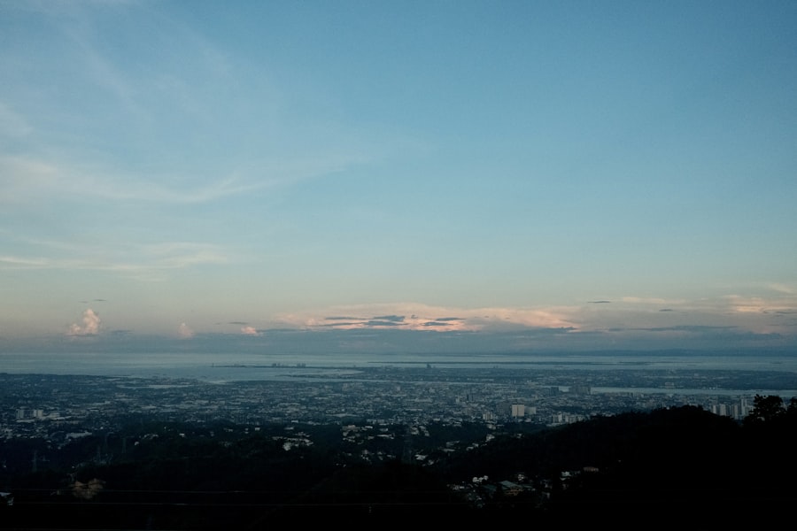 宿霧城市天際線與熱帶植被