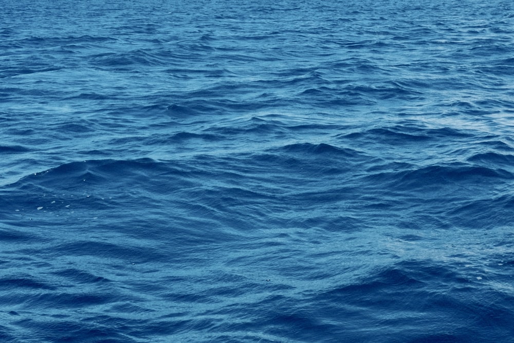 a large body of water with a boat in the distance