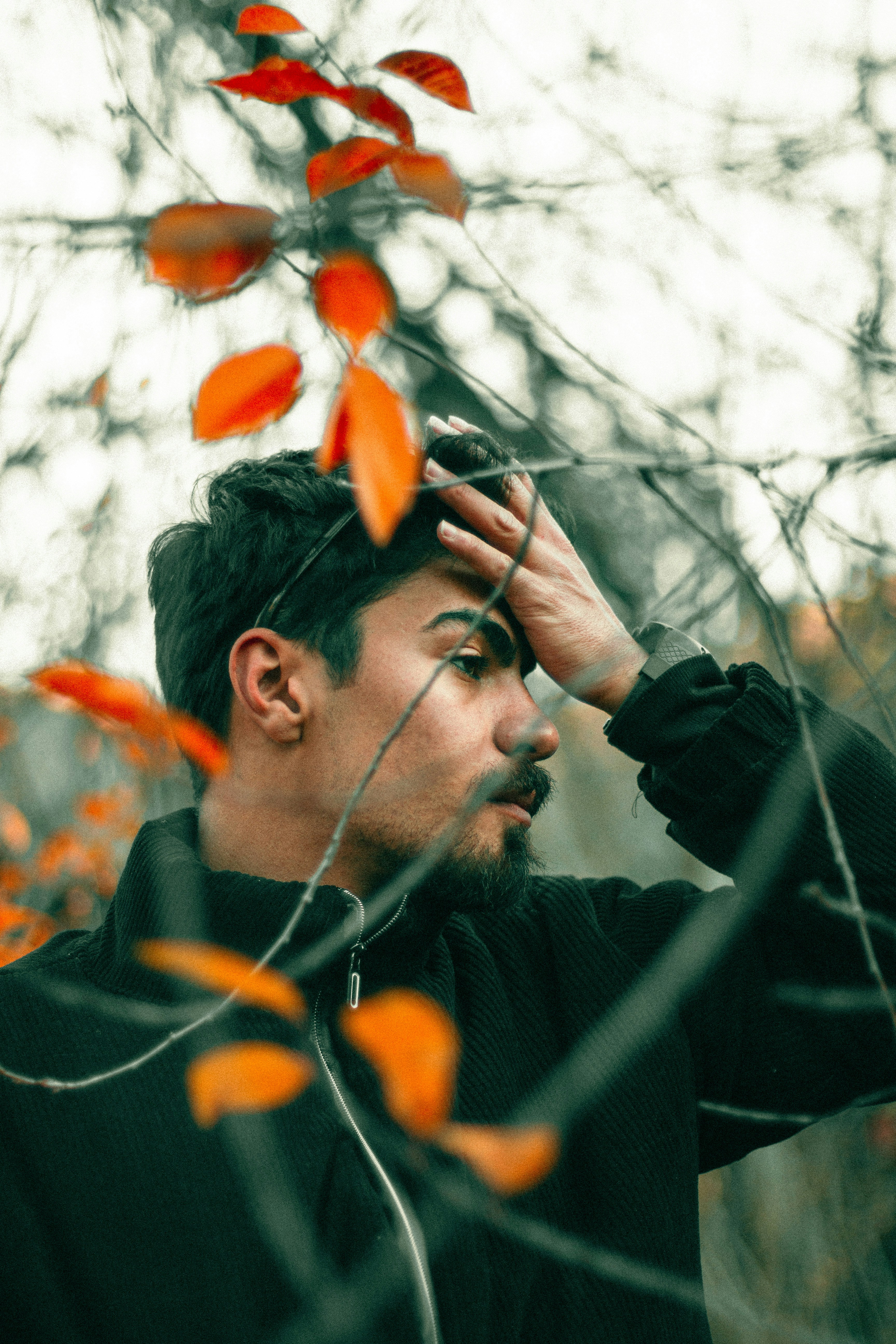 Photo by alihadadikia