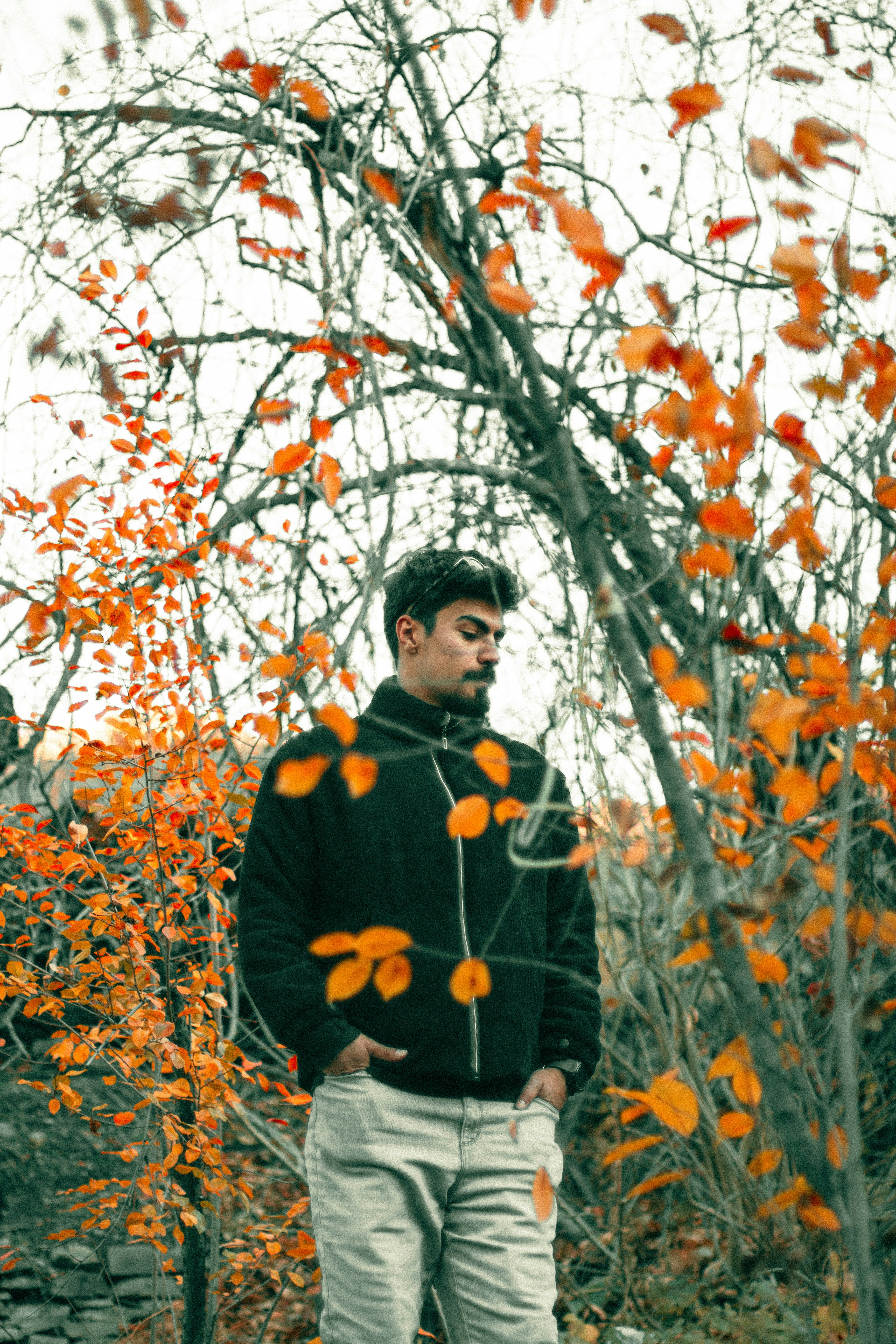 Photo by alihadadikia