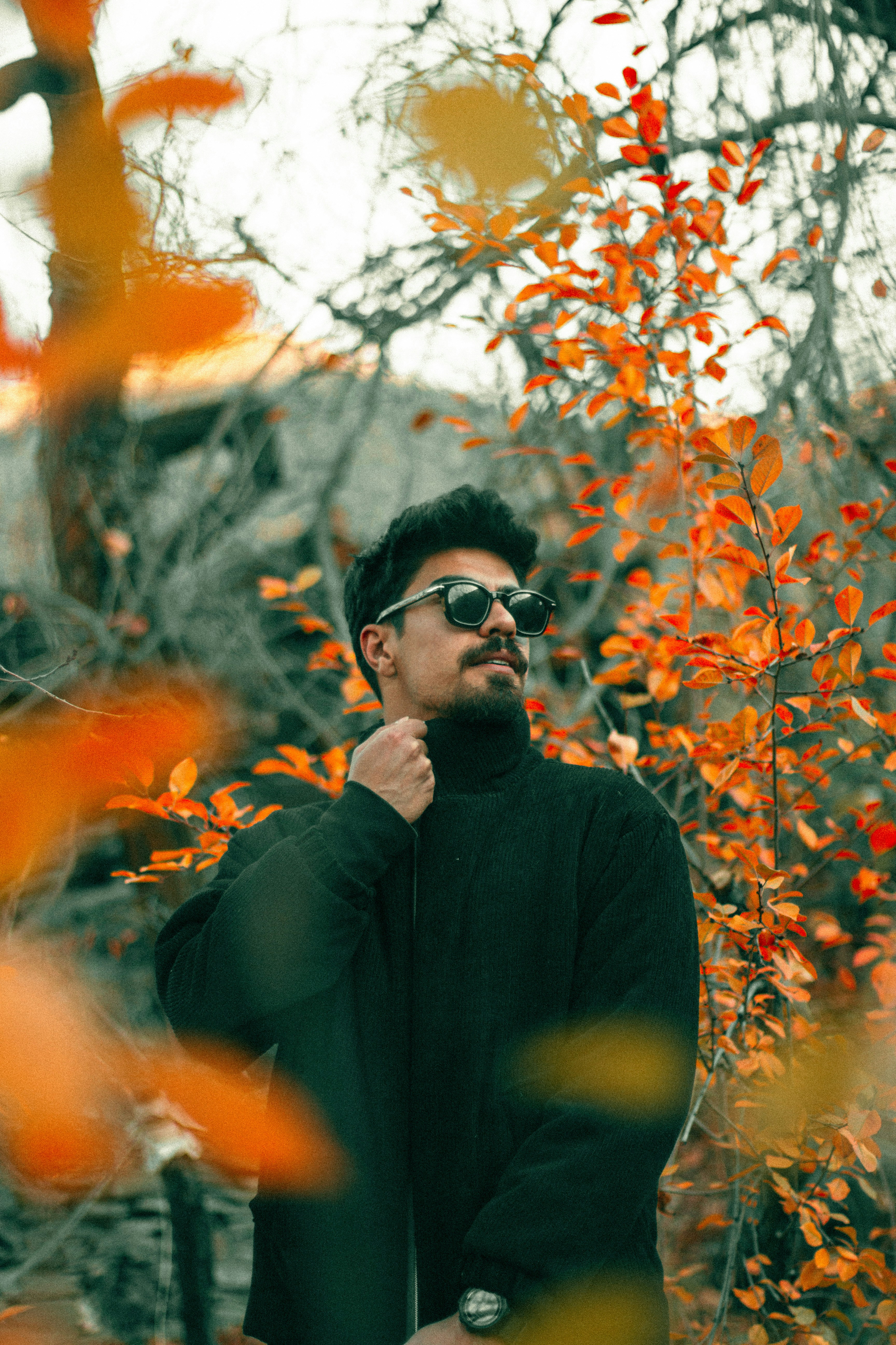 Photo by alihadadikia