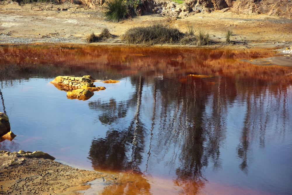 a body of water with a tree stump in the middle of it