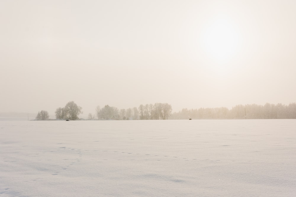 um campo coberto de neve com árvores ao longe