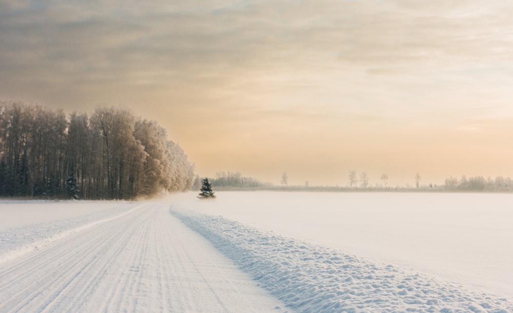 a snow covered road with trees in the distance