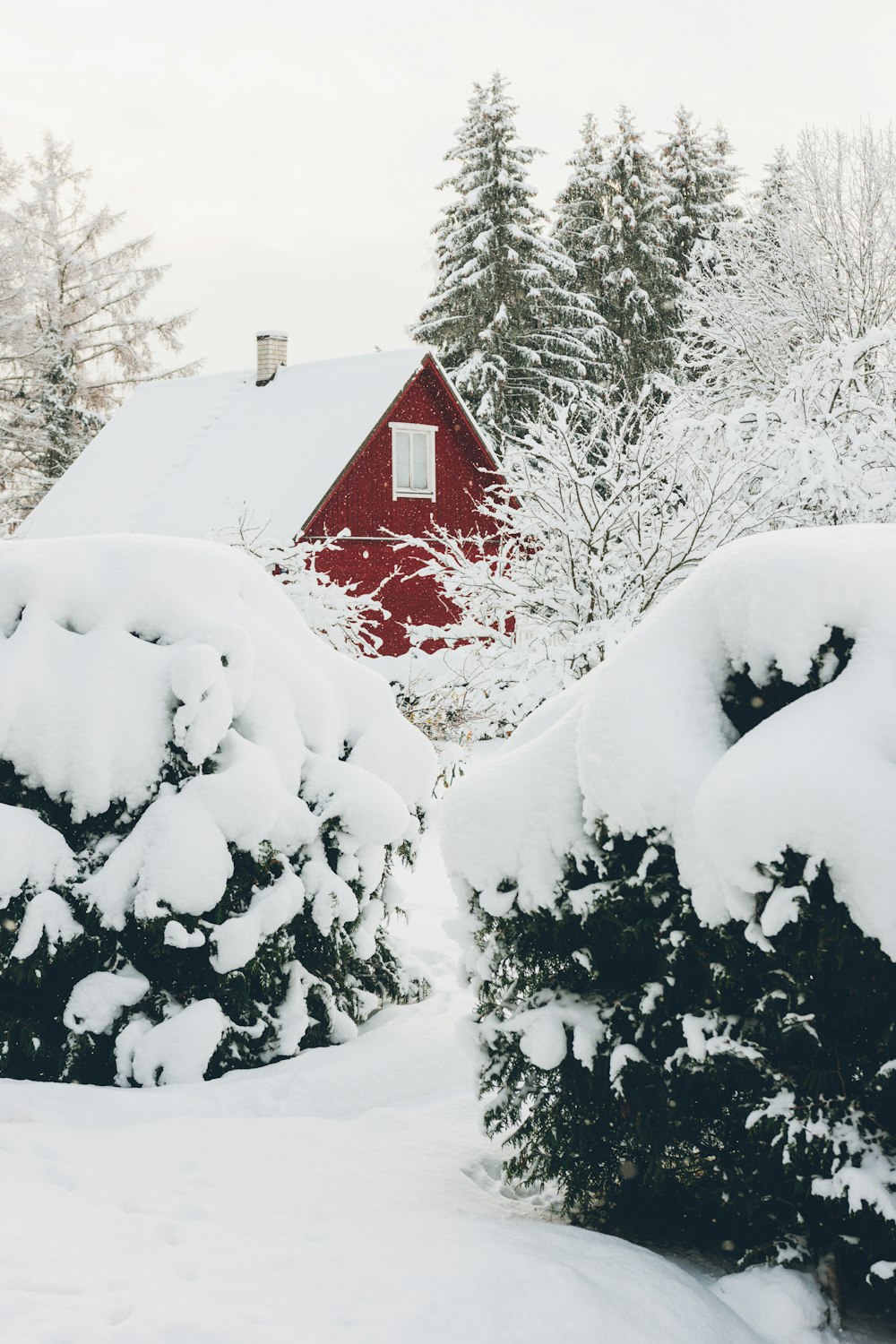 a red house surrounded by snow covered trees