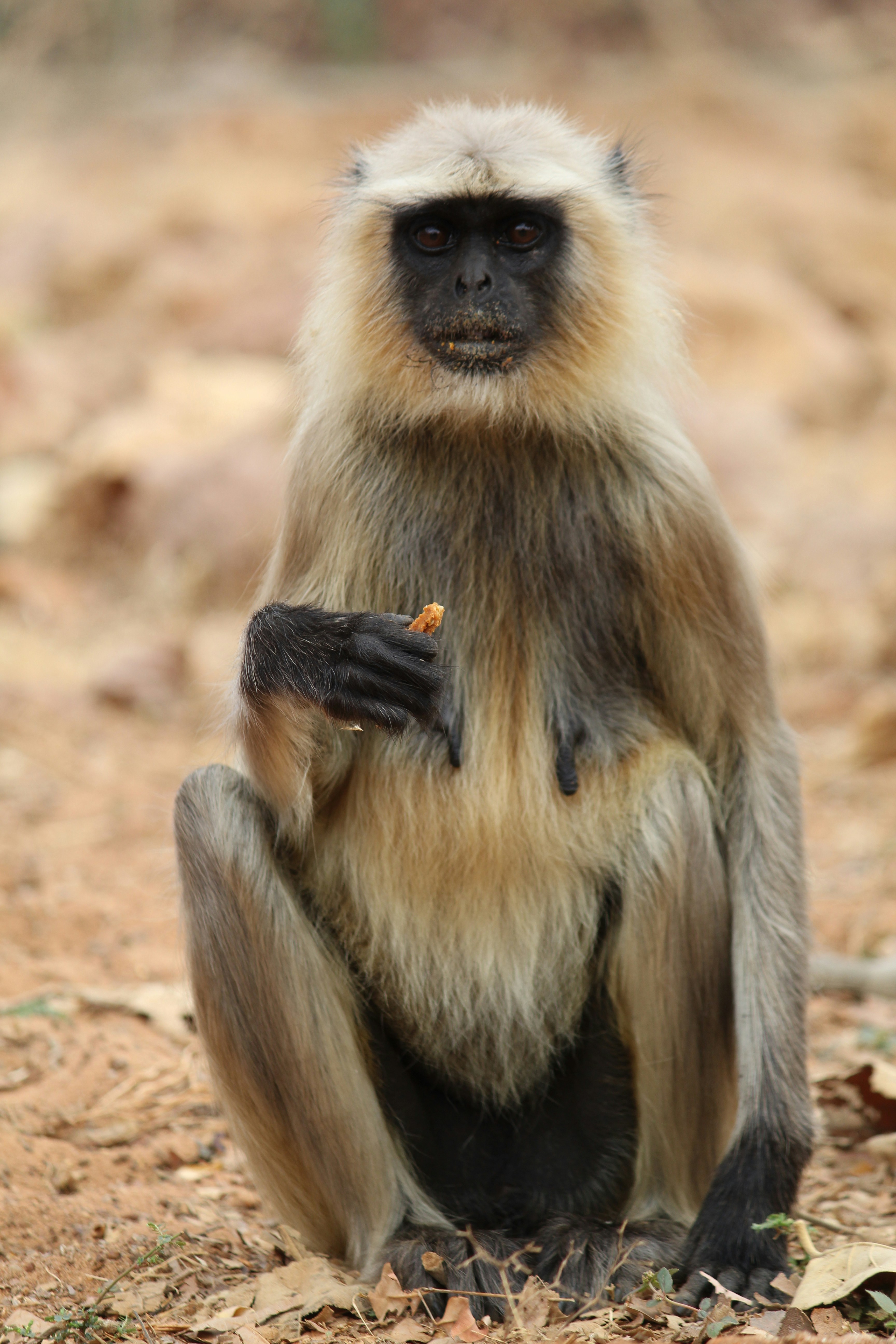 Photo by abhijeet_panchbhai156