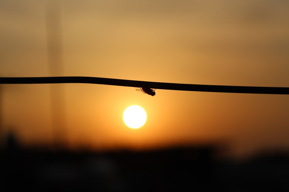 a close up of a wire with a sunset in the background