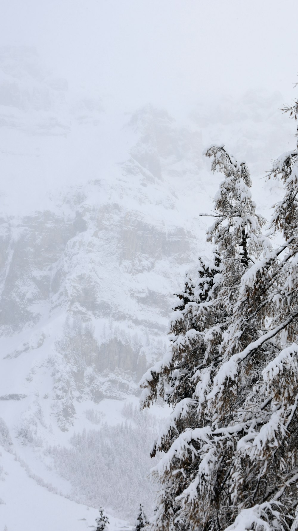 a person is skiing down a snowy mountain