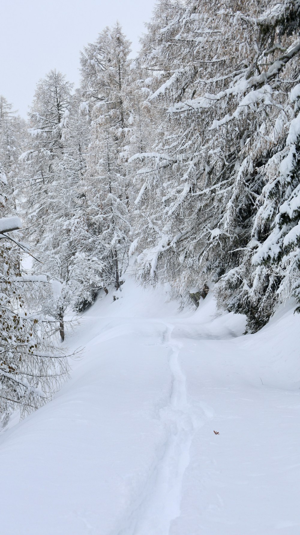 a person riding skis down a snow covered slope